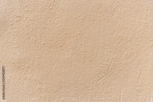 Wallpaper Mural Light texture of a wall. Grainy and rough. Background for projects. Torontodigital.ca