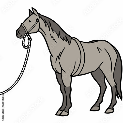 Gray horse with bridle and rope illustration animal equine