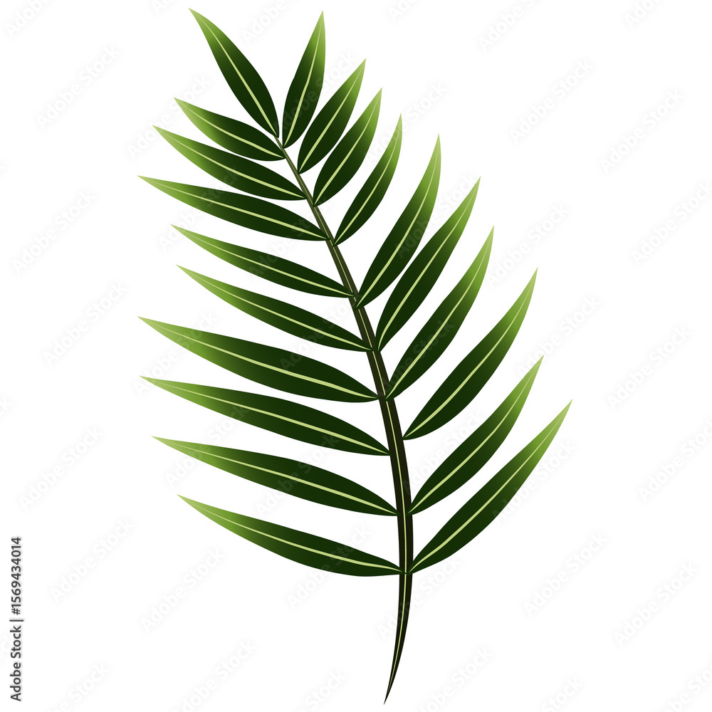 Naklejka premium green leaf isolated on white background