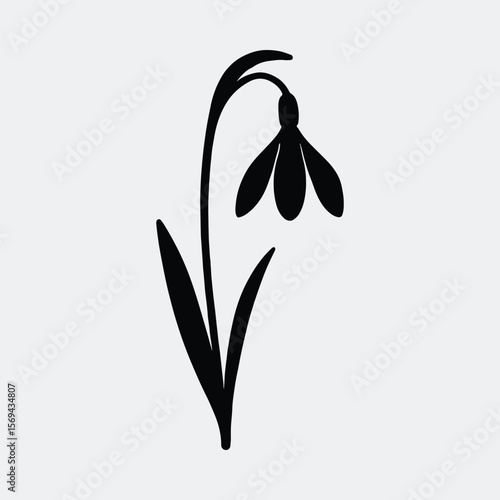 Silhouette snowdrop flower elegant simple spring botanical art vector illustration