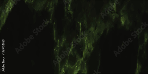 Dark enigmatic forest scene depicting vegetation and shadows with green accents in a dramatic night time landscape