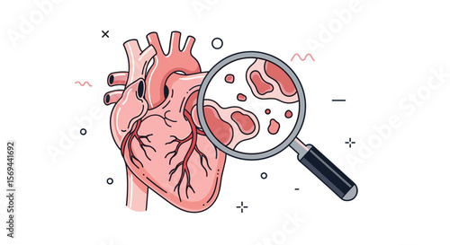 Examining heart health discovering cardiac conditions through detailed visual inspection