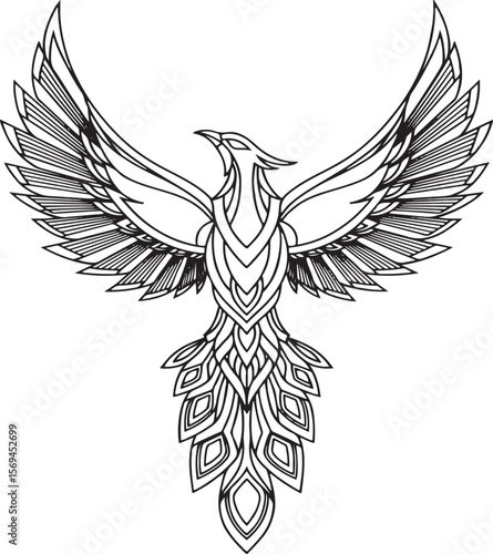 Vector illustration of a detailed phoenix bird with wings spread in elegant outline