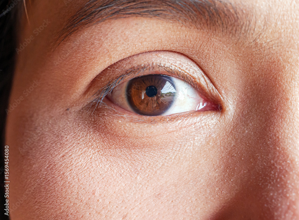 Obraz premium Close-up image showcasing the beautiful brown eyes of a asian woman with natural makeup. Ideal for beauty, skincare, or eye care concepts, this high-quality photo emphasizes elegance and allure.v