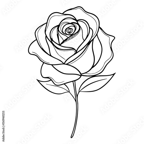 Single Rose Continuous Line Art - Minimalist Flower PNG with Transparent Background