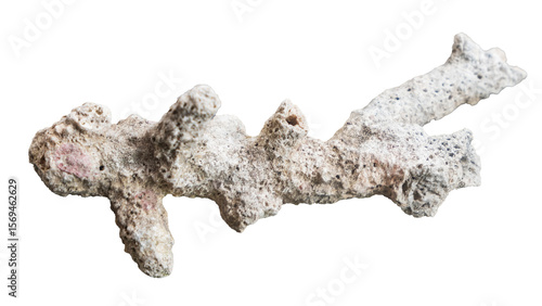 Fototapeta Naklejka Na Ścianę i Meble -  coral reef isolated on white