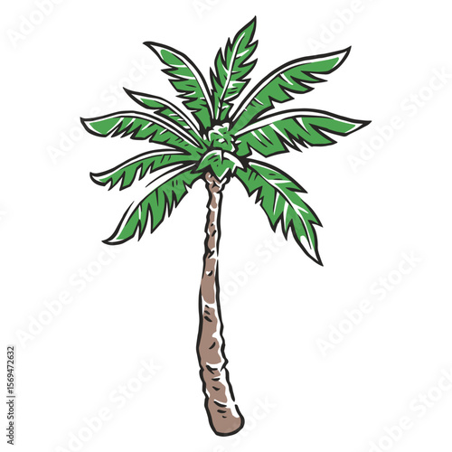 Sunny palm tree with green leaves