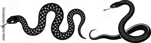 Two black silhouette snakes with detailed scales coiled and slithering on white background