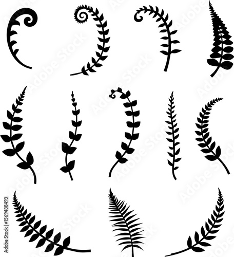 Fern & Frond Silhouettes Set 12 Botanical Leaf Vector Icons