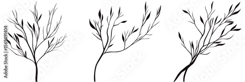 Minimalist hand drawn black silhouette of three slender tree branches with sparse leaves isolated on white background vector illustration for nature concepts and design use