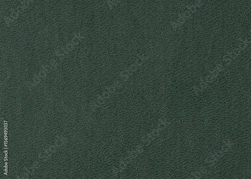 Bubbly green book cover texture background. Natural grainy surface texture for design.