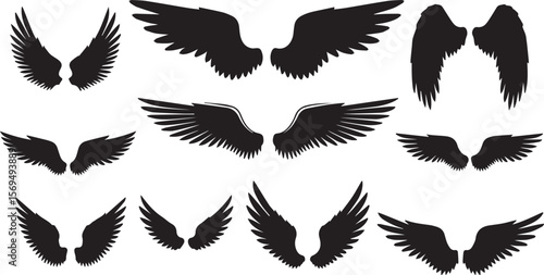 vector illustration of  Angel wings