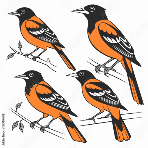 Set of colorful birds, including starlings, orioles, and bullfinches, perched on a branch against a white background, showcasing their vibrant feathers and beaks in nature's wild beauty