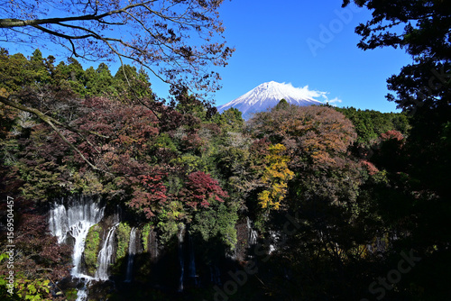mt fuji and waterfall in autumn