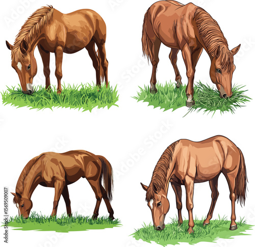 cute horse eating grass vector style on white background