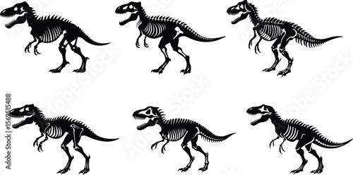 Silhouetted Tyrannosaurus Rex Fossil Replicas Clustered in a Paleontological Display