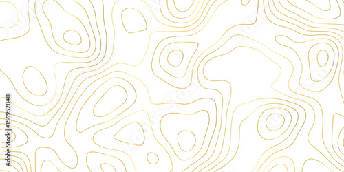 Topographic map background with geographic grid for hiking and mountain sport. luxury topographic wavy pattern and geographic grid map design. paper texture Imitation of a geographical map shades.