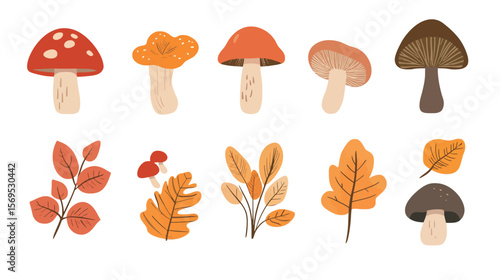 Simple and clean vector icon of a mushroom fruit, minimalist design featuring smooth curves and clear shape, ideal for botanical, organic, food, and nature-related themes in modern flat illustration 