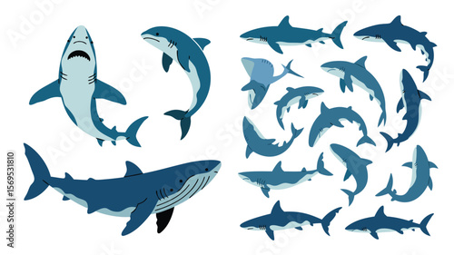 Cartoon Shark Illustrations Blue Sharks, Swimming Sharks, Sharks, Fish Illustration, Marine Life