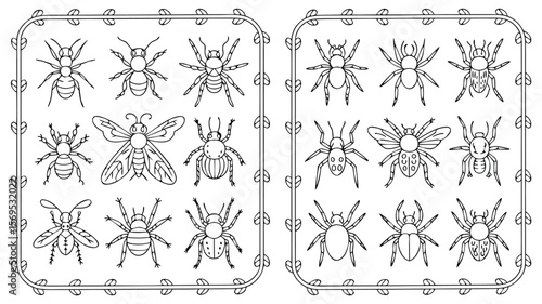 Black and White Insect Outlines Featuring Spiders, Ants and Bees Within Leafy Decorative Frames