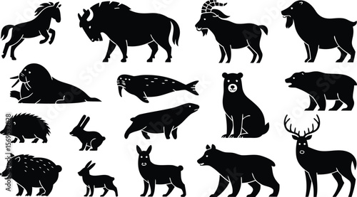 Black and White Animal Silhouettes Horse, Buffalo, Goat, Lion, Walrus, Seal, Bear, Deer and More