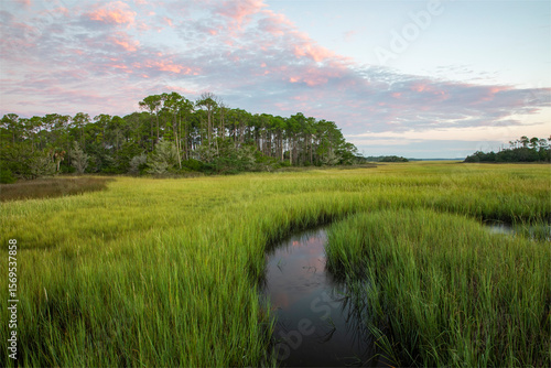 Wall Mural Sunrise along the salt marsh of the Tolomato River
