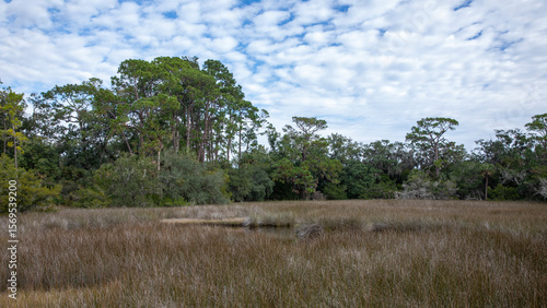 A scenic view of the salt marsh in Fort Mose Historic State Park