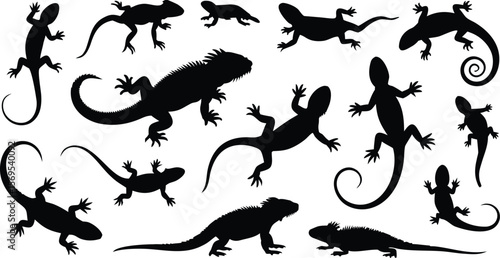 Silhouette Collection of Lizards Different Types of Reptiles, Black Silhouettes on White Background