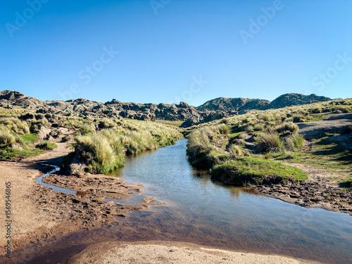 Tranquil Mountain Stream Flowing Through Grassy Landscape