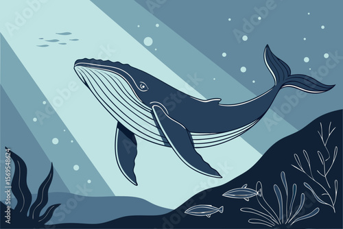 whale in the sea