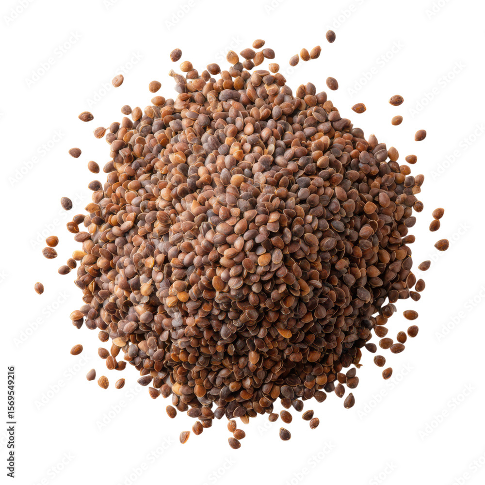 Close up shot of a pile of brown seeds on a white background in studio light Close up shot of a pile of brown seeds on a white background in studio light