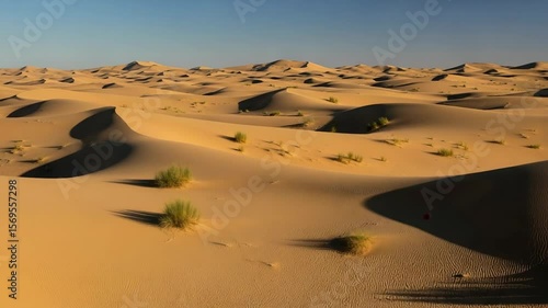 Vast desert landscape with rolling sand dunes under blue sky  