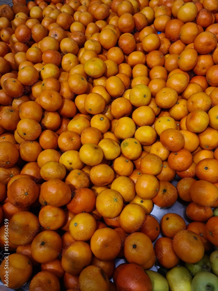 A large pile of fresh, ripe oranges and tangerines in various shades of orange and yellow. The fruits are arranged closely together, showcasing their vibrant colors. A large pile of fresh, ripe oranges and tangerines in various shades of orange and yellow. The fruits are arranged closely together, showcasing their vibrant colors.