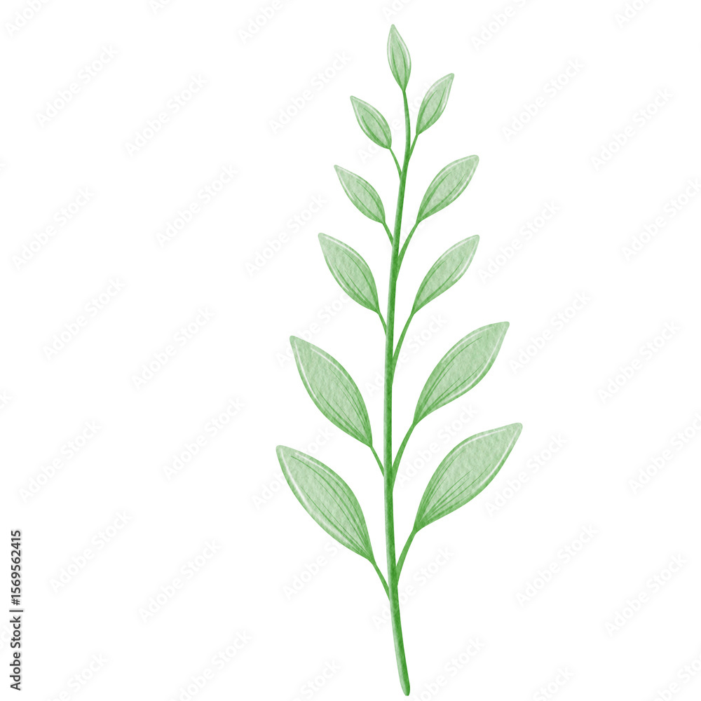 Fototapeta premium Watercolor cute leaves illustration.