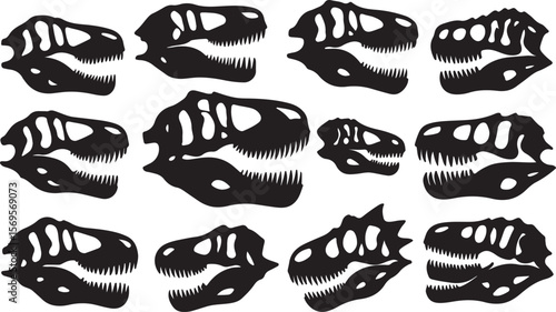 Black dinosaur skulls fossilized ancient creatures fossils prehistoric