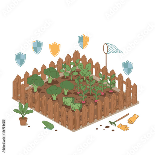 Vegetable garden with plants protected by shields and tools nearby  