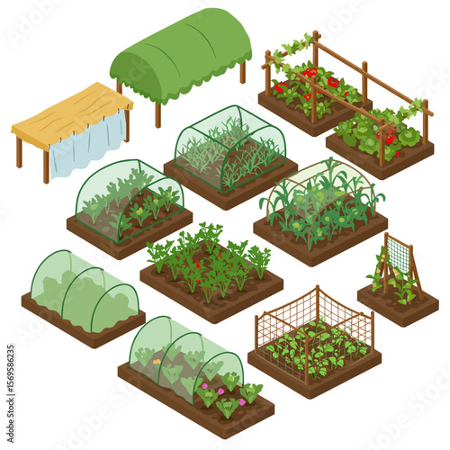 Various garden plots with vegetables and greenhouses in an isometric view  