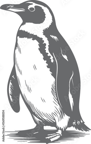 Penguin silhouette detailed sketch bird animal