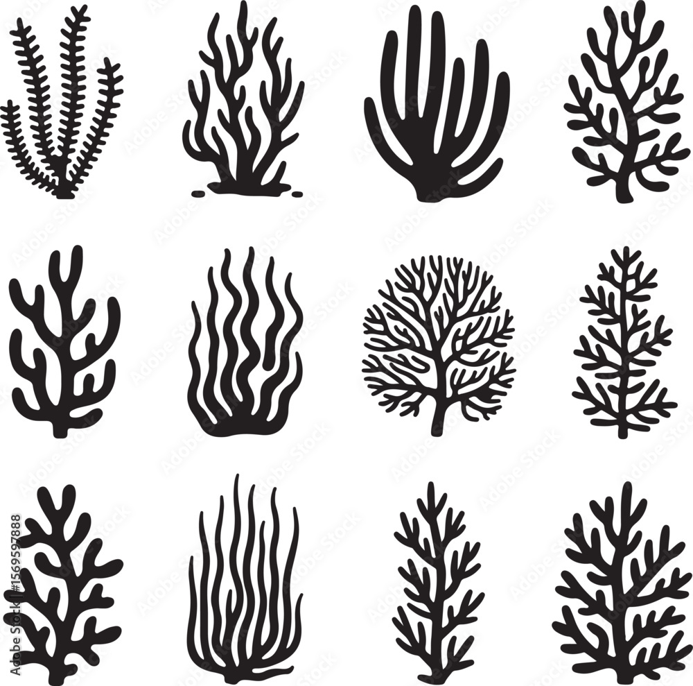Black silhouette coral and seaweed patterns marine life underwater Black silhouette coral and seaweed patterns marine life underwater