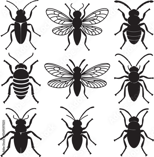 Black insect silhouettes with detailed wings and segmented bodies white