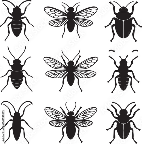 Black insect silhouettes with detailed wings and segmented bodies white