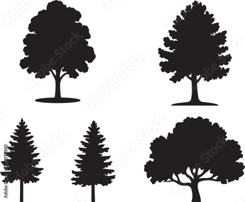 Various tree silhouettes including deciduous and coniferous types deciduous tree coniferous tree