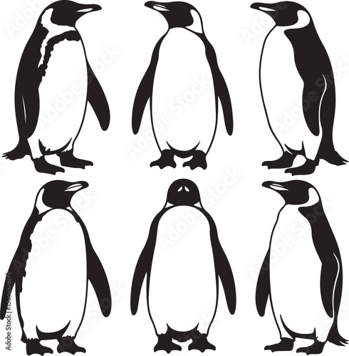 Black and white penguin silhouettes standing vector