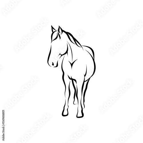 Elegant Line Art Horse Illustration Equestrian Design