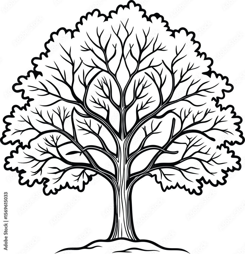 Obraz premium Oak Tree vector tree silhouette
