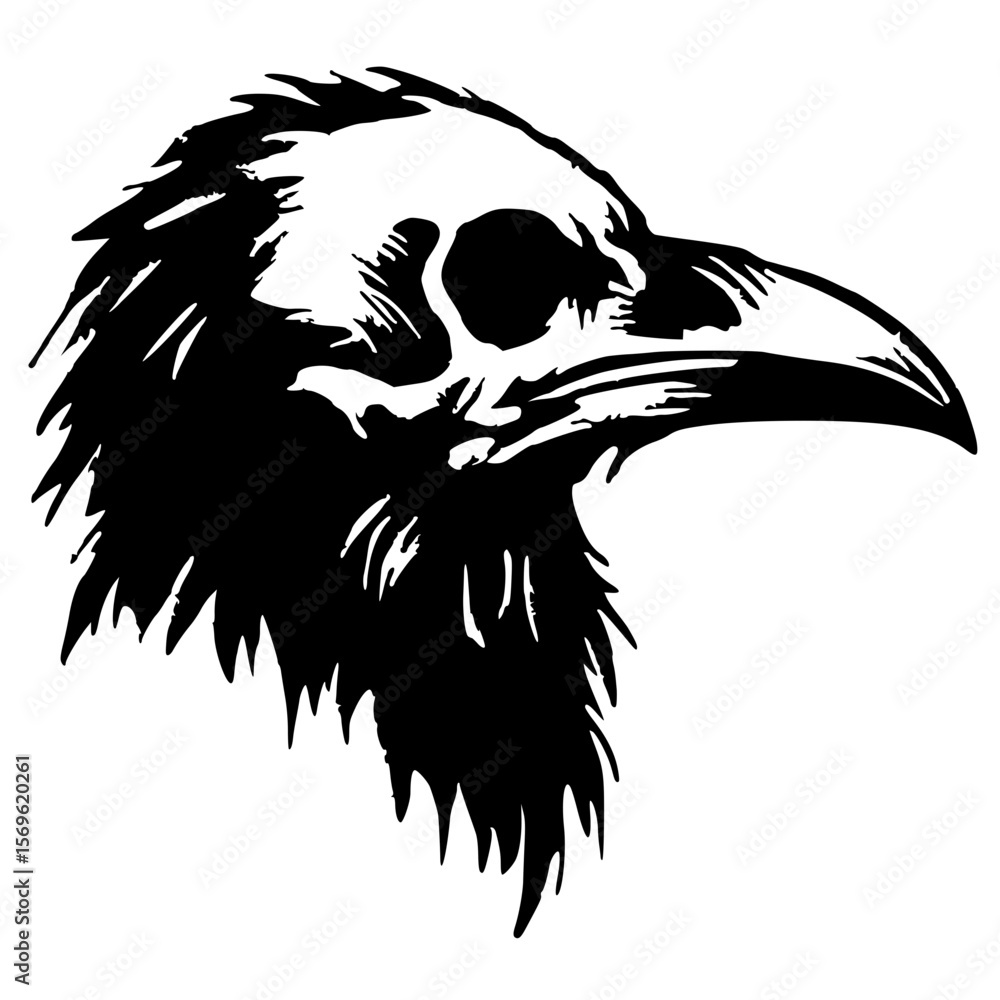 Obraz premium Crow skull silhouette