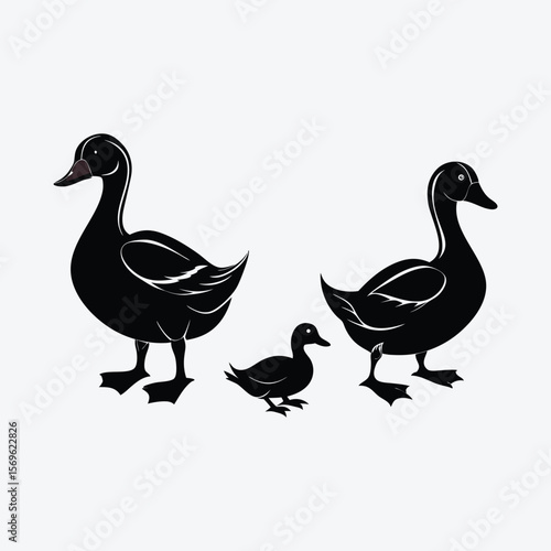 Vector art of family of ducks silhouette isolated on white background