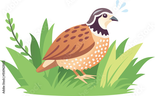 Northern bobwhite calling out its name, hidden in grass, game bird, subtle, illustration