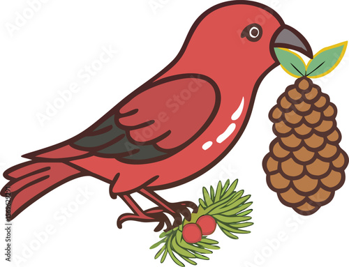 Red crossbill with crossed mandibles, extracting seeds, conifer forest, northern bird, illustration