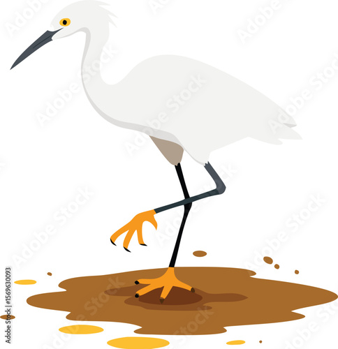 Snowy egret with bright yellow feet, stirring up fish, elegant white bird, wetland, illustration